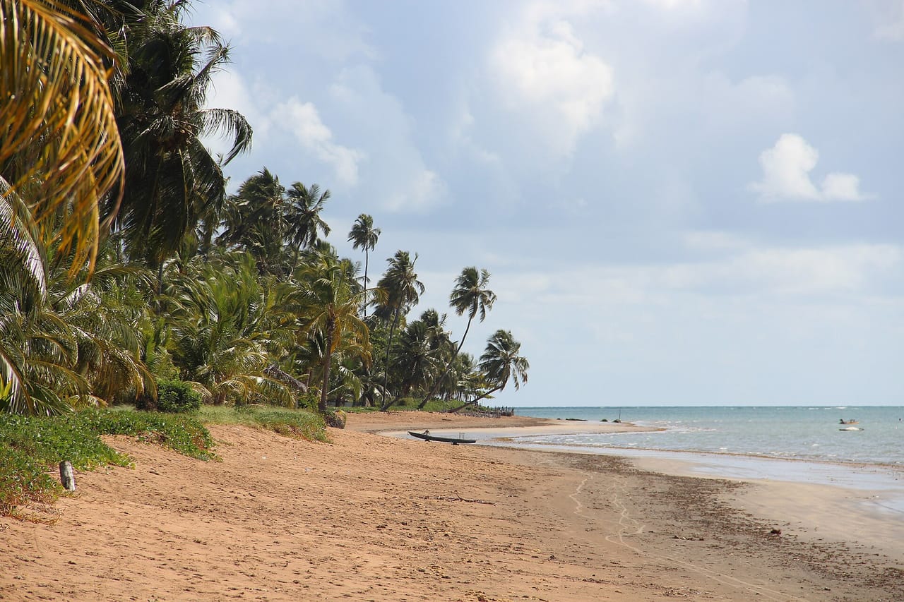 Praia de coqueiros em Japaratinga, Alagoas